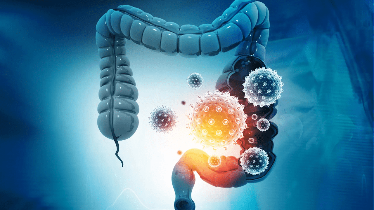 Meet MicroGUT: Revolutionizing Gut Health Research