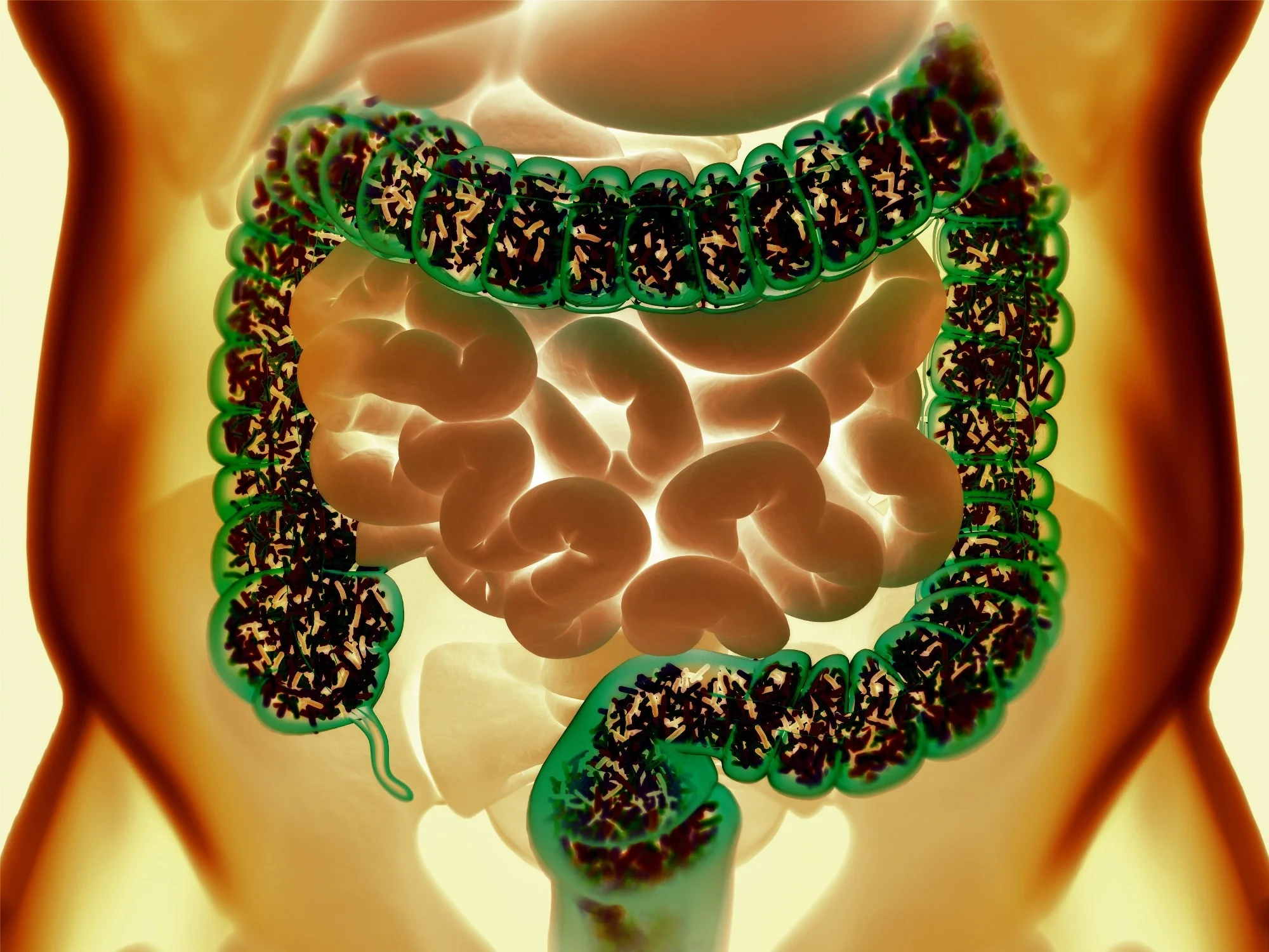 Gut Instinct: The Key to Thriving Microbiome Health 