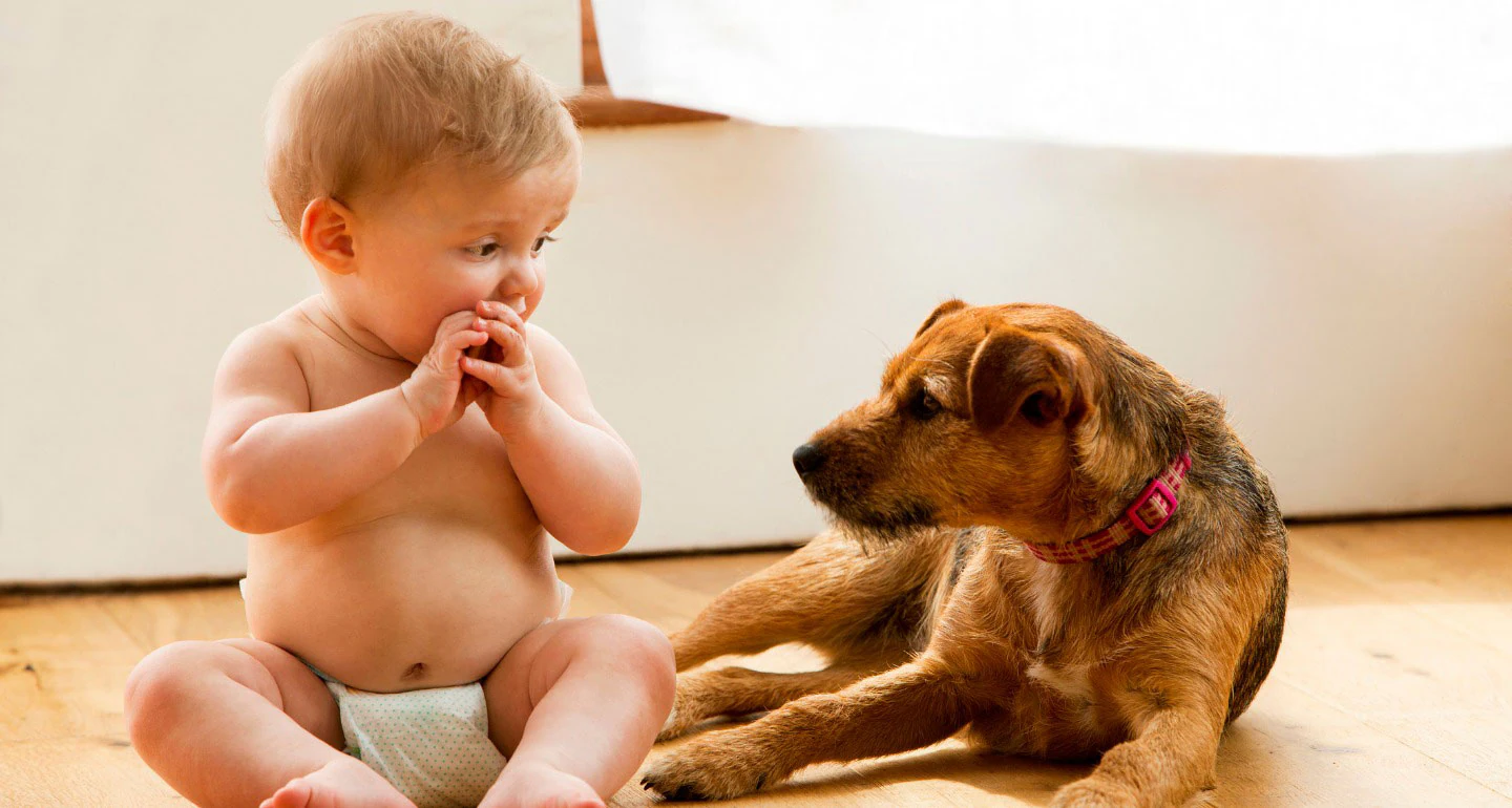 Pets & Kids: Building Resilient Gut Microbiota for Allergy Protection